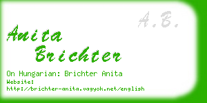 anita brichter business card